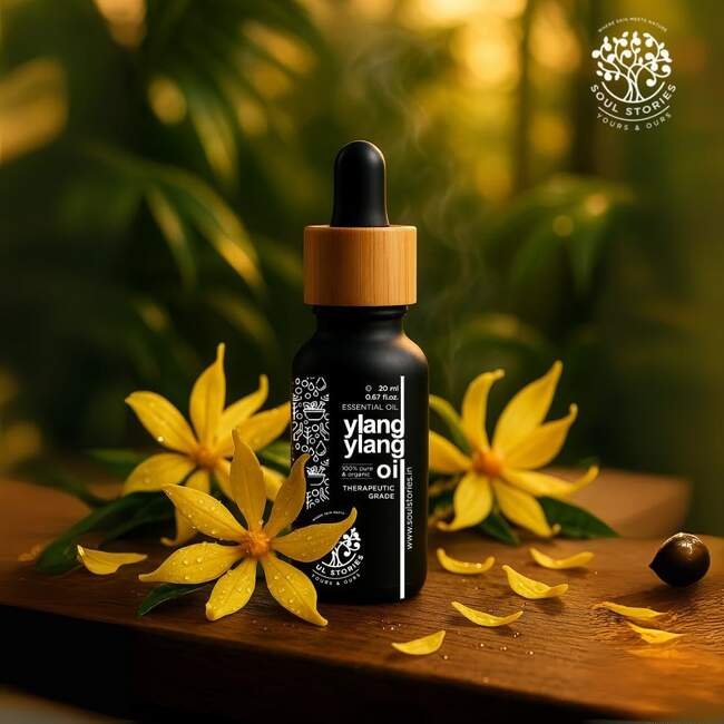 Ylang Ylang Oil — essential oils